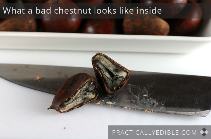 What a bad chestnut looks like inside