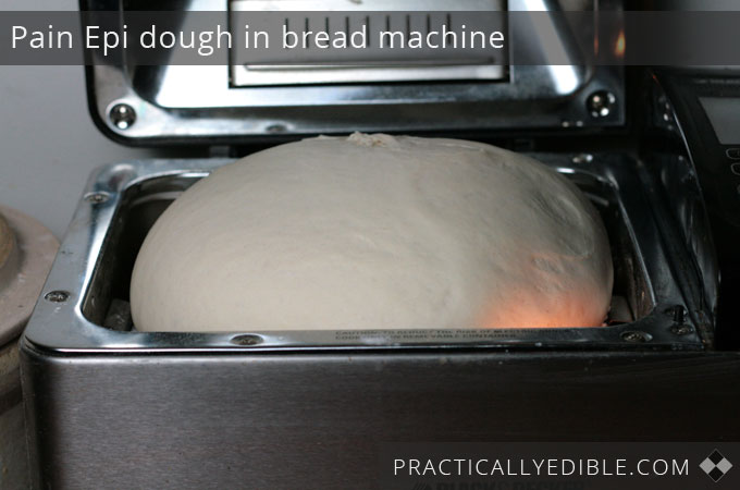 Pain epi dough
